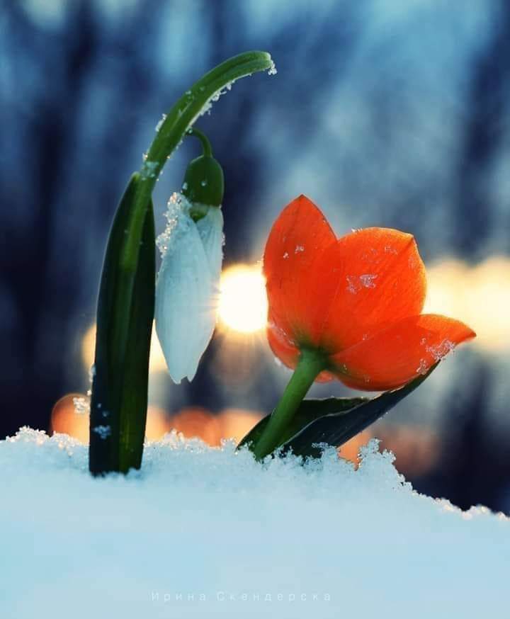 FB_IMG_1642049364207