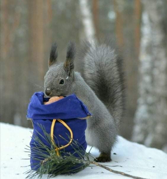 FB_IMG_1641718651322