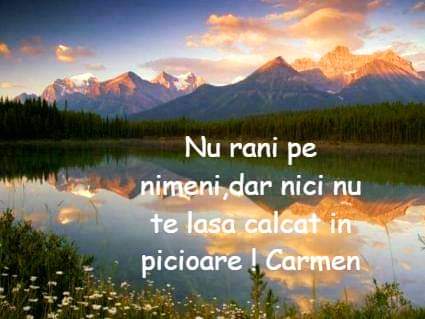 FB_IMG_1641919257727