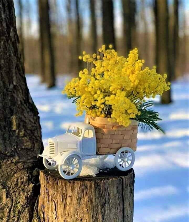 FB_IMG_1642921440017