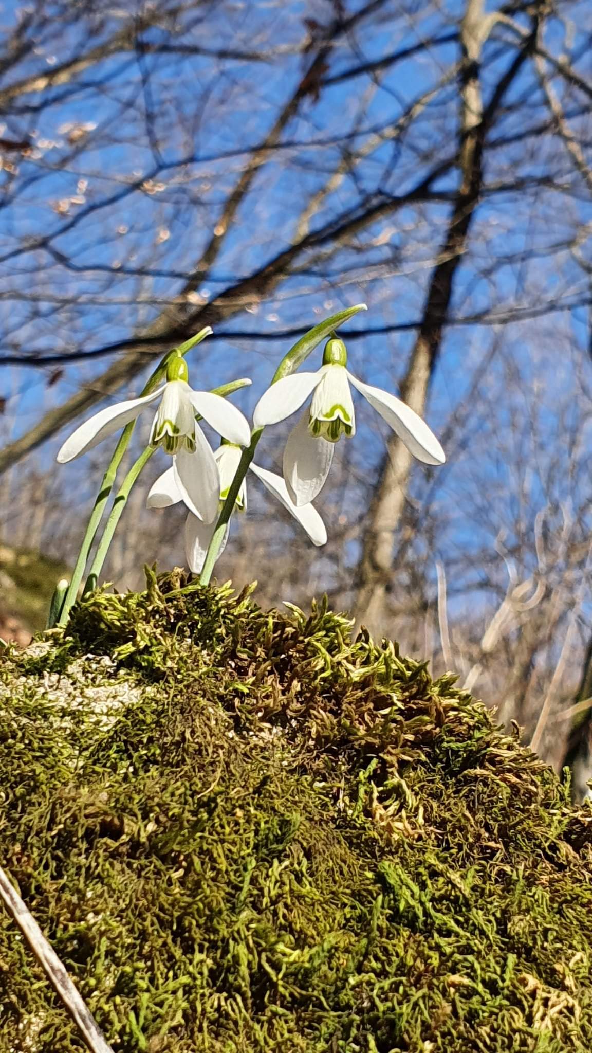 274223754_3106372546249624_7807020171045348570_n