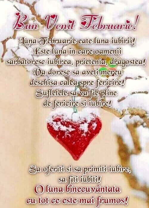 857cb186770813f03aefcbf6a2aa8b95