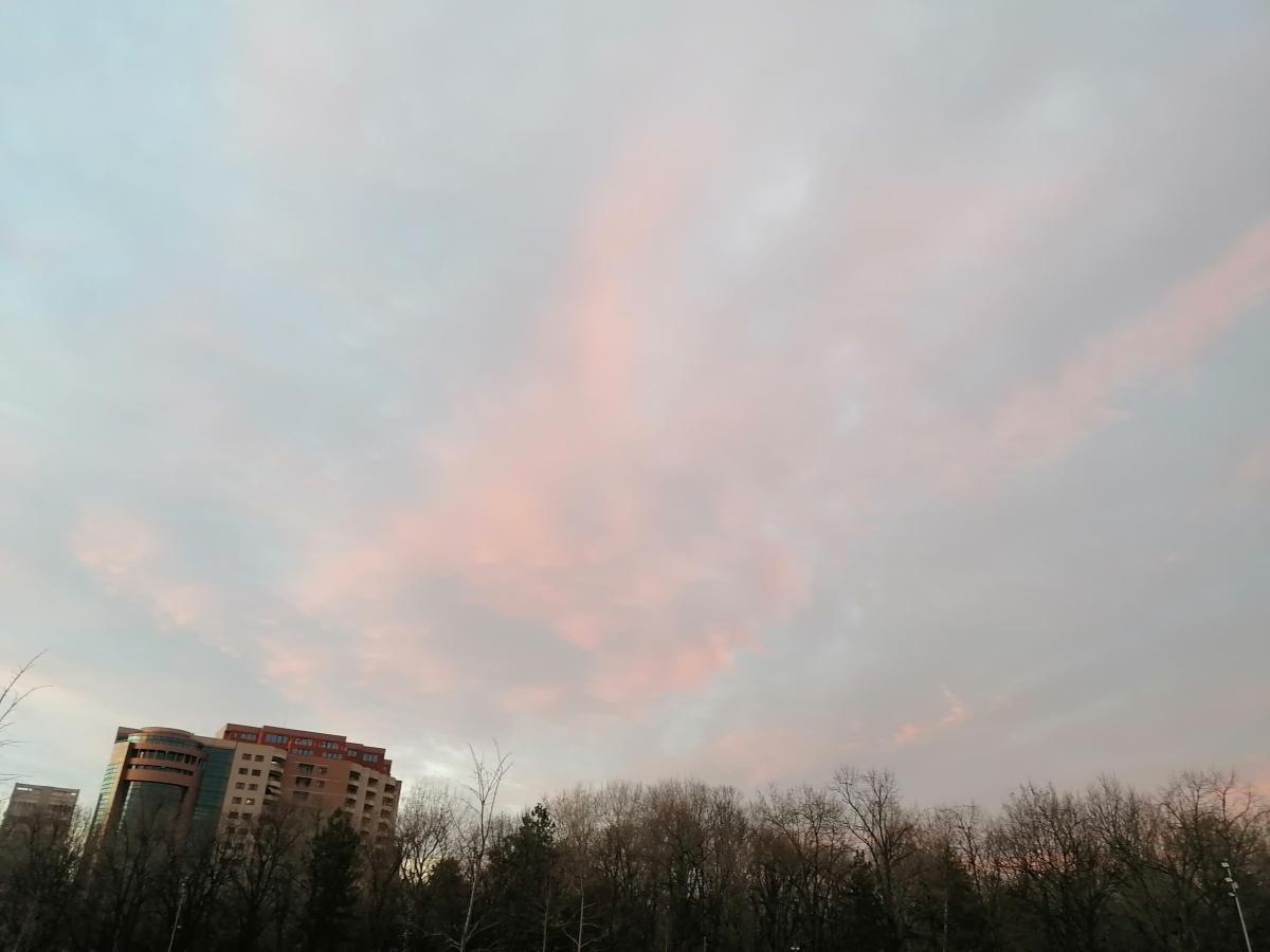 IMG_20220217_174729_1