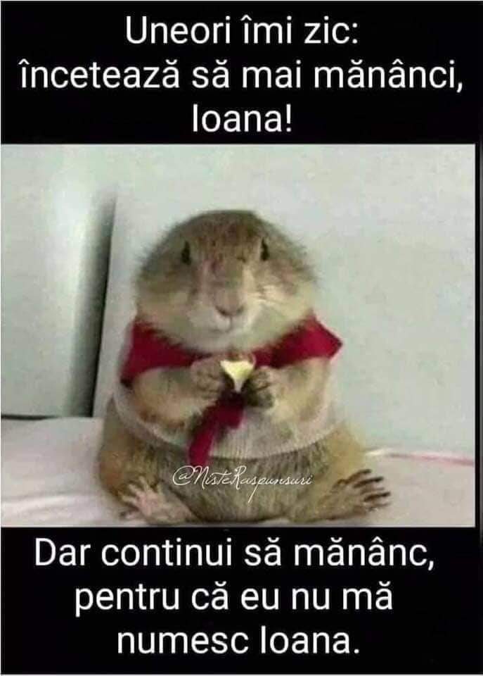 FB_IMG_1644642253136