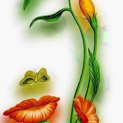 18157562_271060956637107_7324659049566268975_n