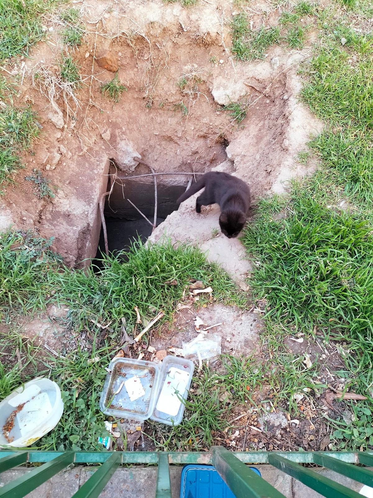 272605529_2246676852176775_7527188592073417318_n