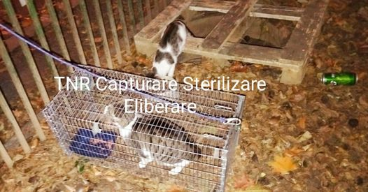 imagine_2022-02-11_161503