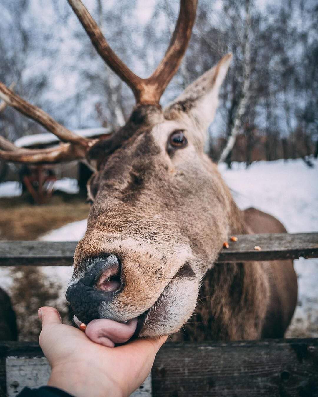 138346695_216463543440496_9209326259191648694_n