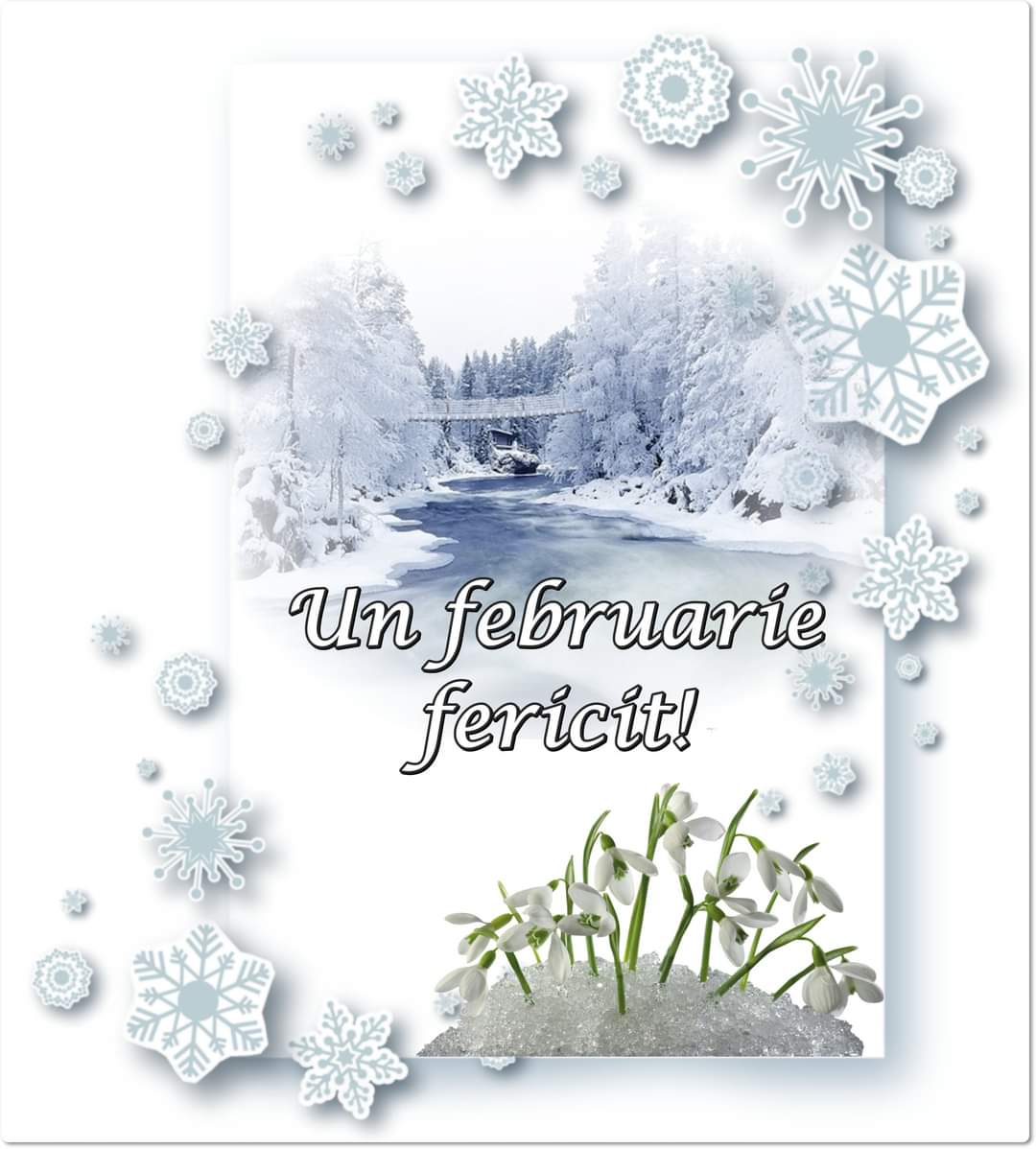 FB_IMG_1643690001352