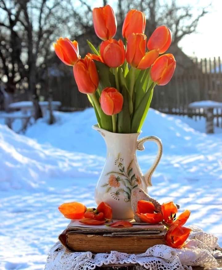 FB_IMG_1644736341031