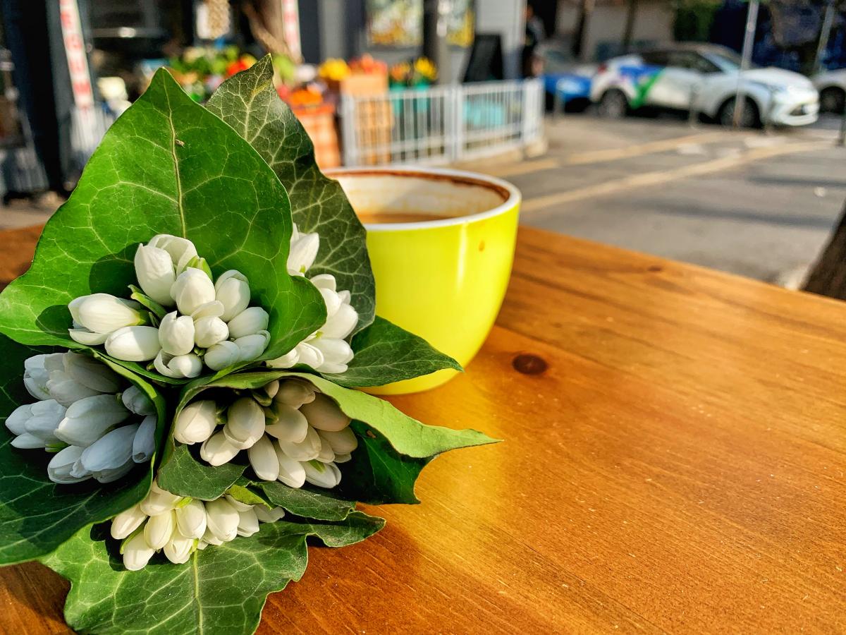 5679523F-609C-4C91-896E-43BFFD1D114E