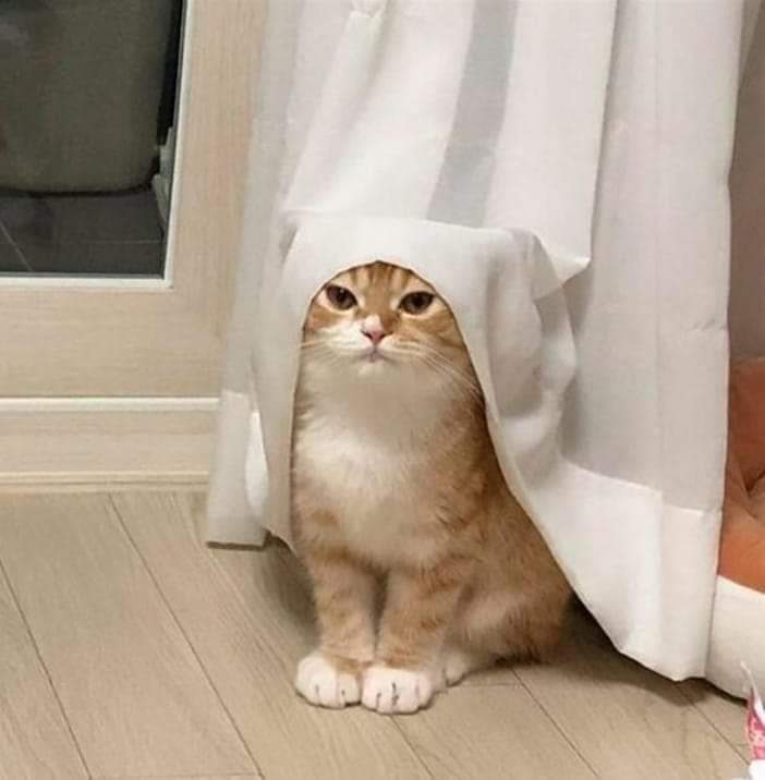 FB_IMG_1644816630515