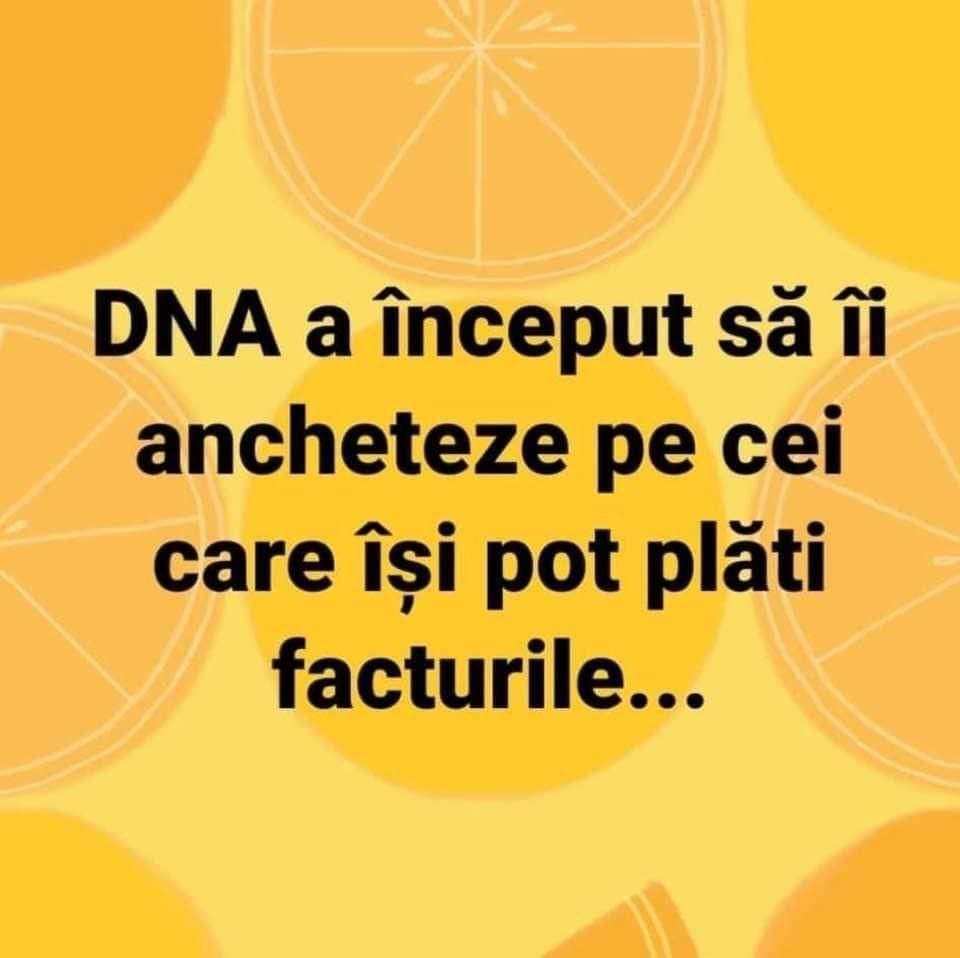 91e5db50-a6d4-4569-a4c9-ca7fd0a9a2f2