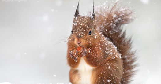 263505860_10160843816786980_2445102248830316143_n