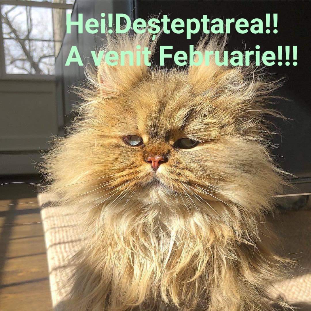 FB_IMG_1643690218381