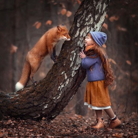 274346048_123049713619783_3060371788266169876_n