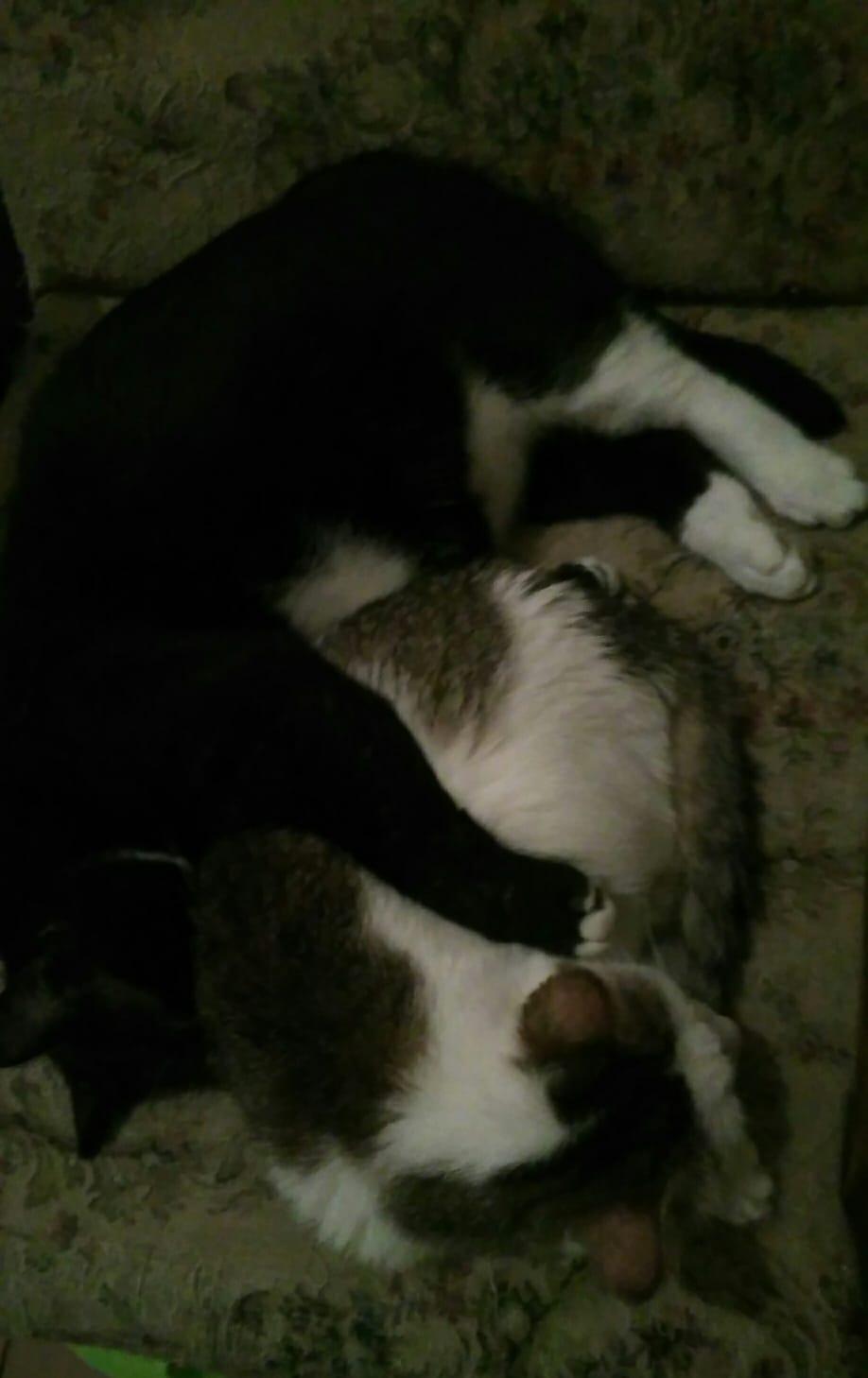 WhatsApp Image 2021-11-05 at 06.22.40