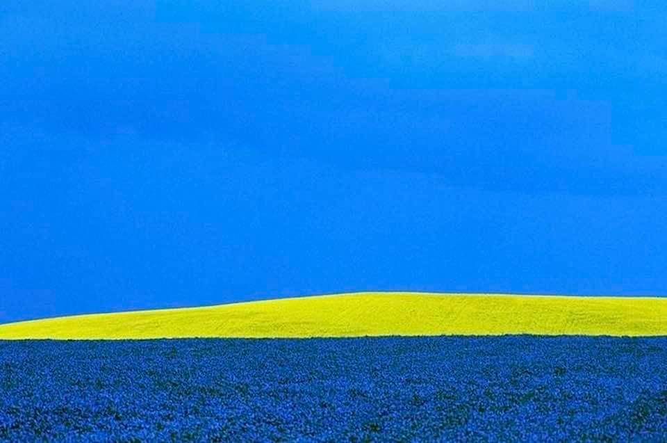 FB_IMG_1644990037752