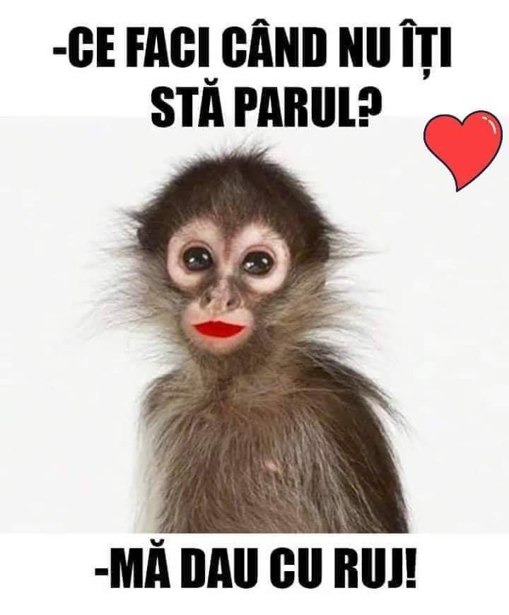 FB_IMG_1644087775700