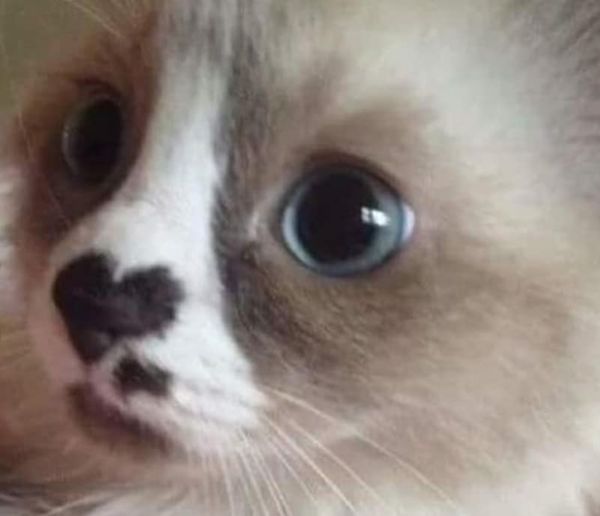 267586976_113186744548261_57626610147277898_n