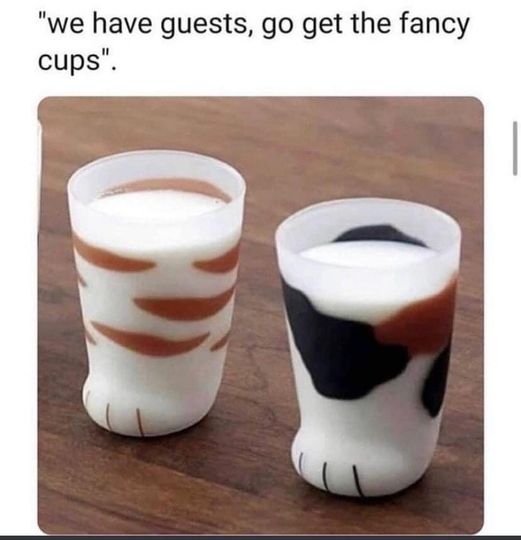 274304944_247946740867904_7877663033497907775_n