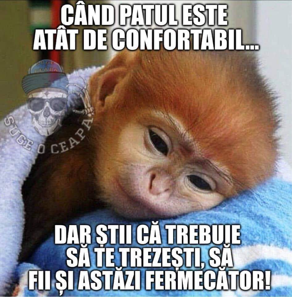 FB_IMG_1644391824316