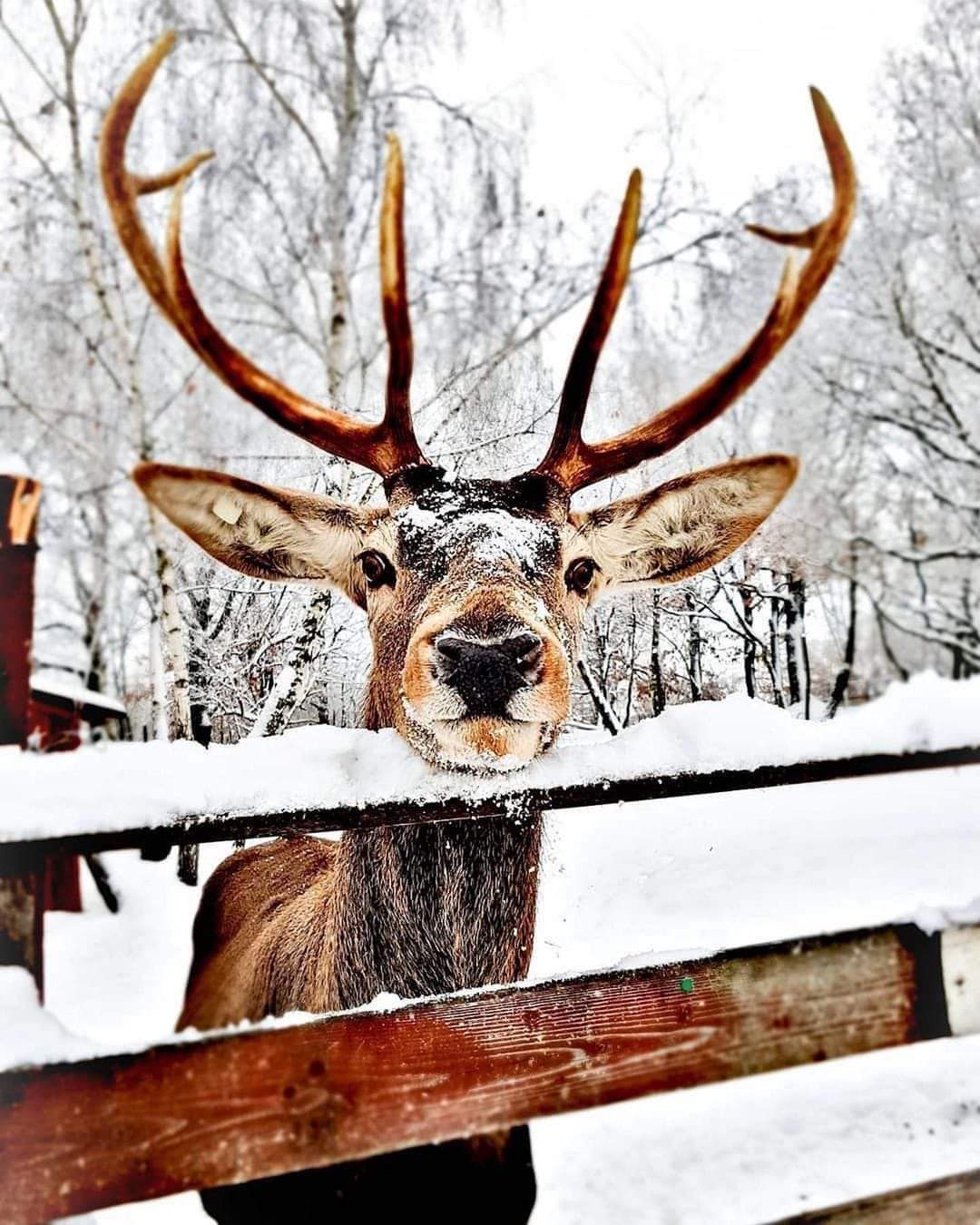 137682658_216462636773920_2840063807488647215_n