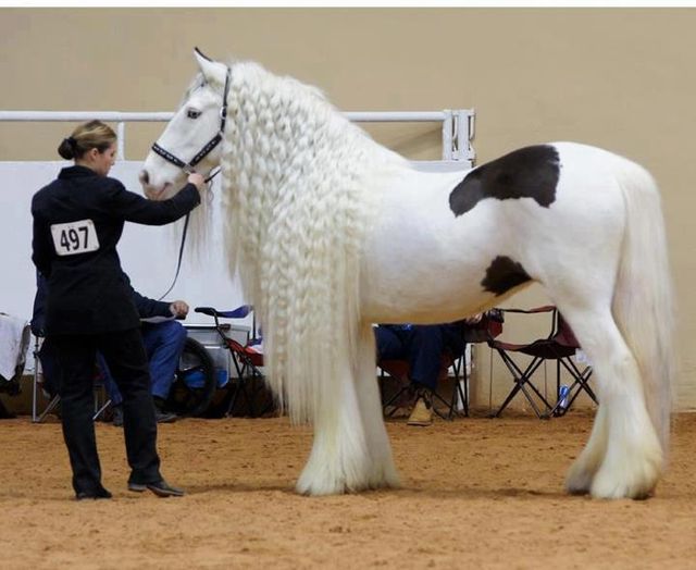 408287_522150944478266_2063772399_n