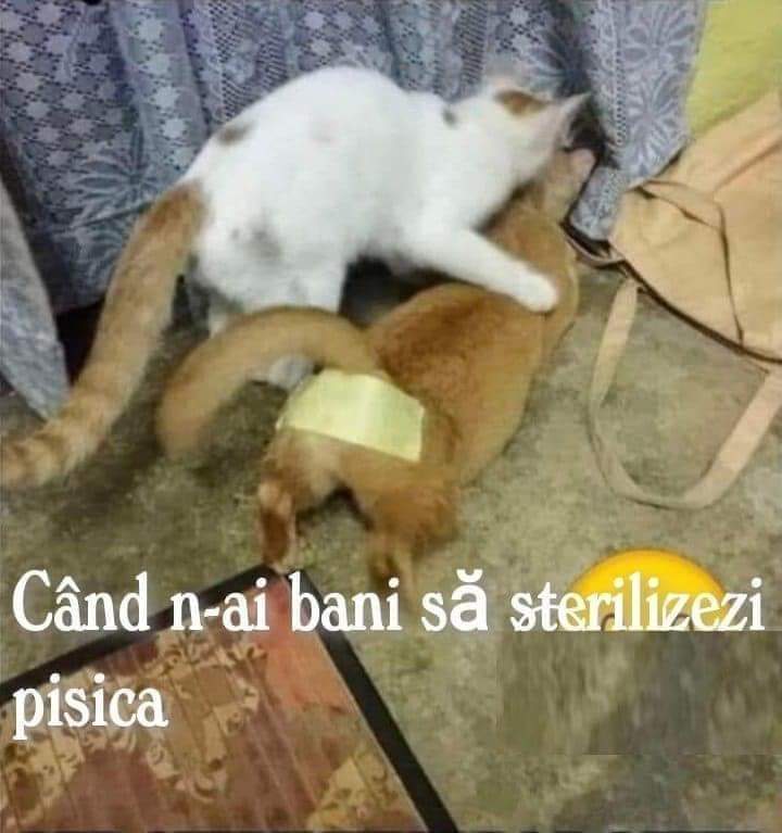 WhatsApp Image 2022-02-16 at 16.23.03