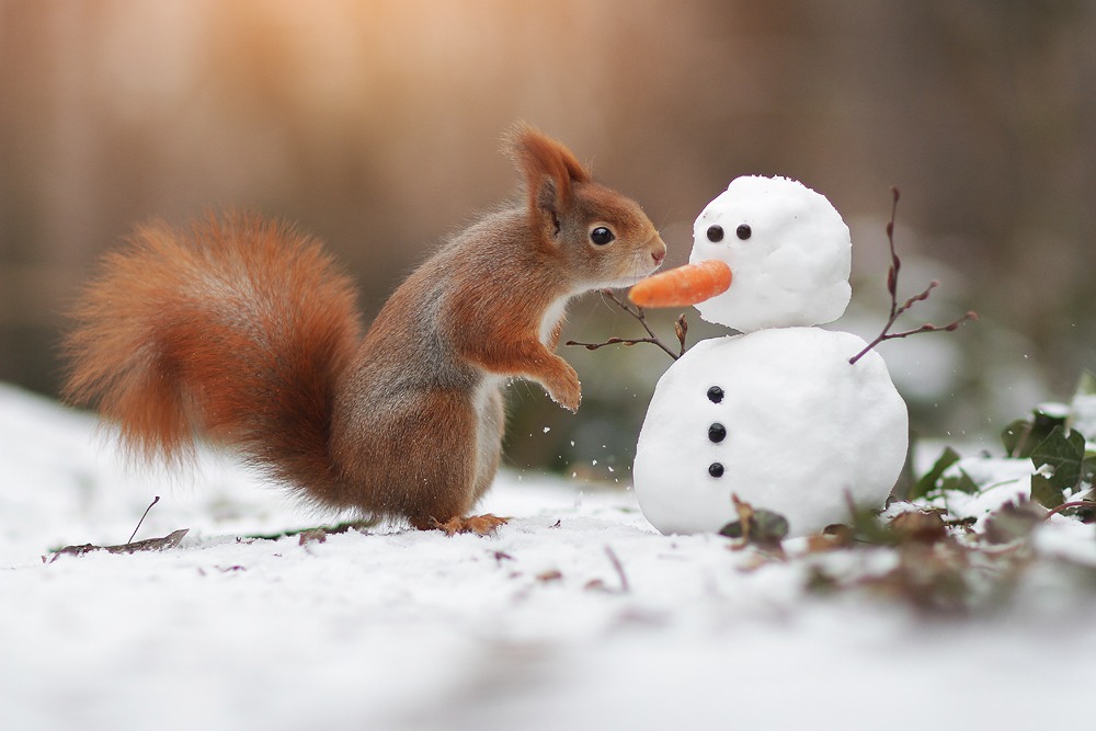 WhatsApp Image 2022-02-13 at 02.07.05