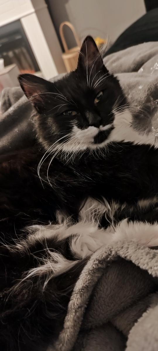 df6ab6ee-883e-47e7-bf68-6a10df2f9a5c