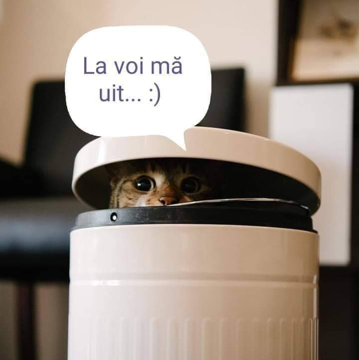 FB_IMG_1645423866473