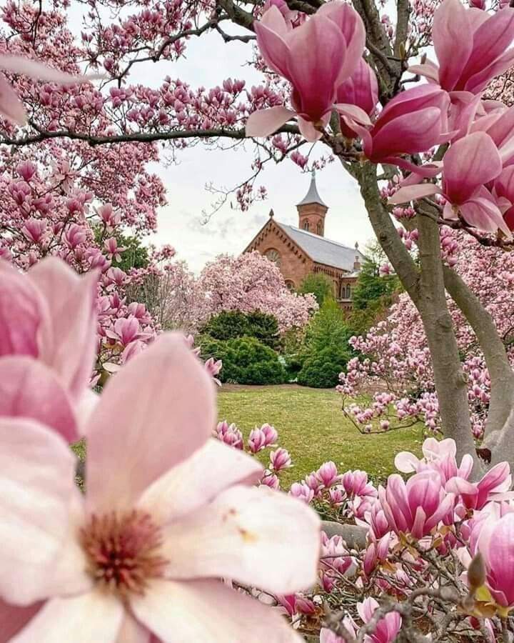 FB_IMG_1647091910390