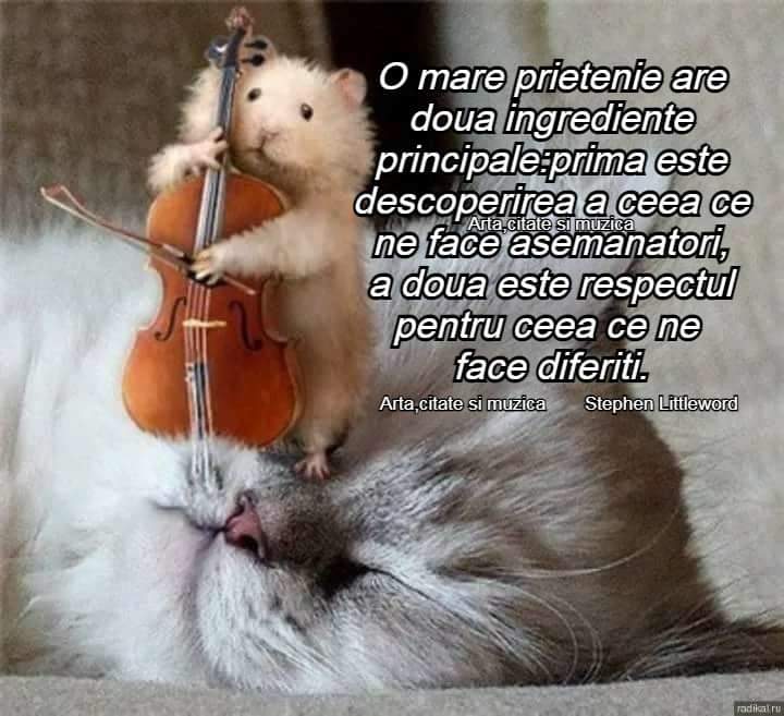 FB_IMG_1647799456414