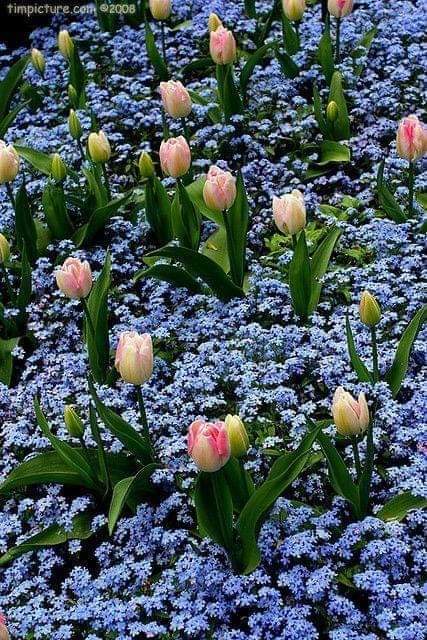 FB_IMG_1647767156548