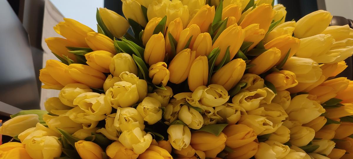 f89dd4d0-7138-4090-adb7-c617fcd131c2