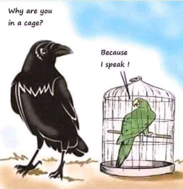 1340b022-444b-418d-a4f2-21b355f91135