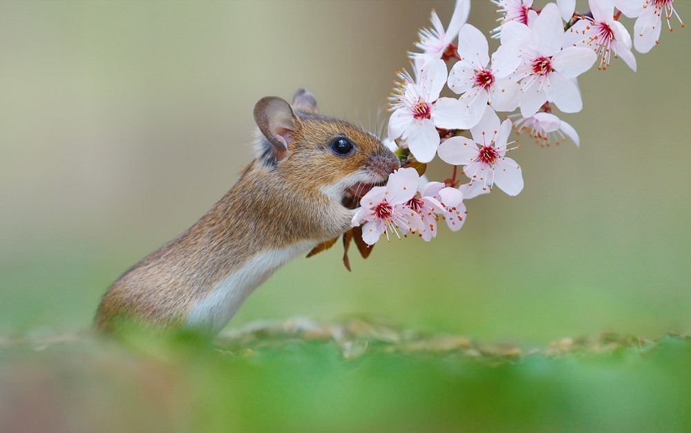 WhatsApp Image 2022-02-13 at 01.34.07