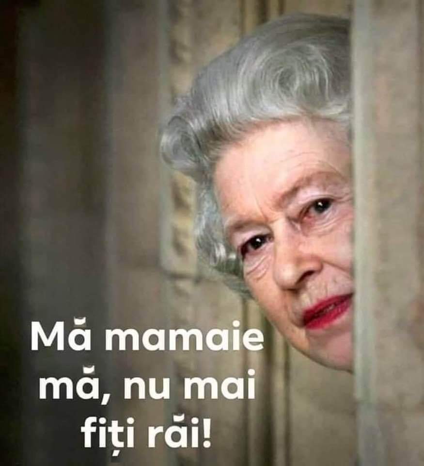 FB_IMG_1646339055032