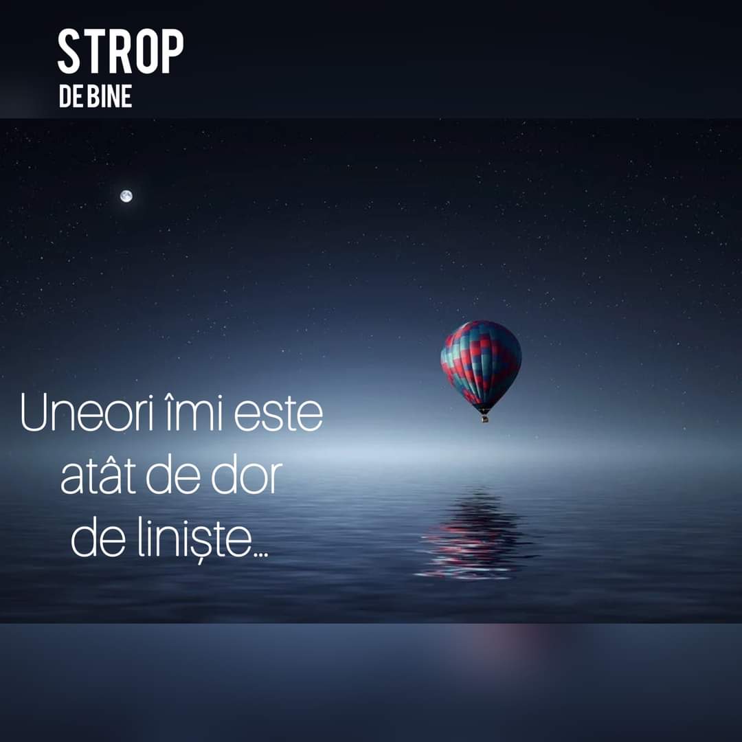 FB_IMG_1646557375615