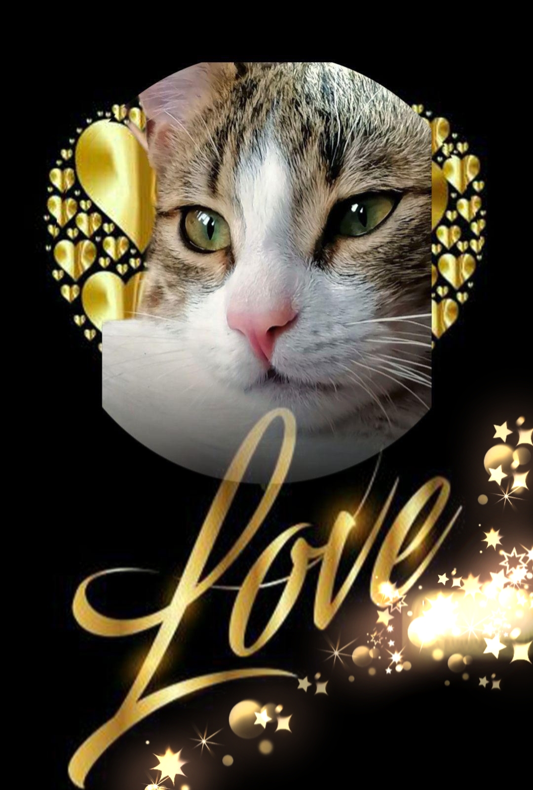 BeautyPlus_20220208085137467_save