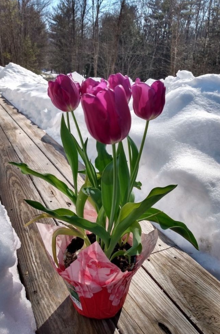 Screenshot_2022-02-26-00-23-20-78_99c04817c0de5652397fc8b56c3b3817