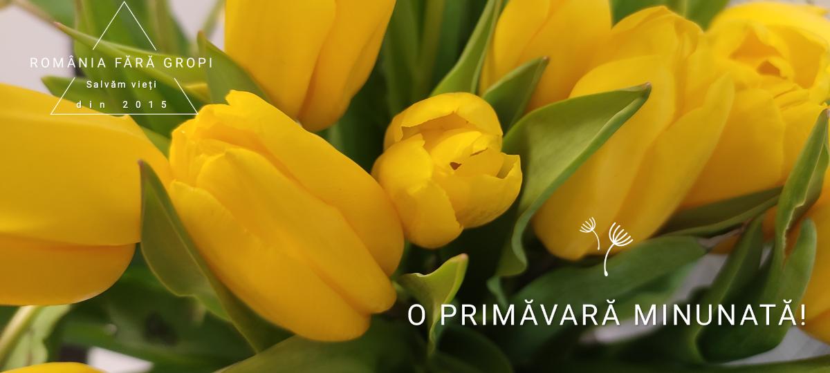 585da36f-d13f-4bb0-a64e-12e1c9ee80ff