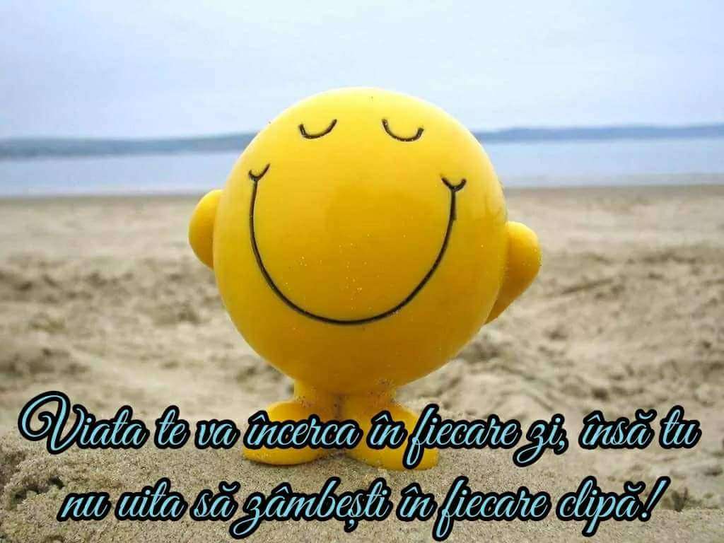 b61d460b-cbca-4fb3-a2b5-0def584918ab