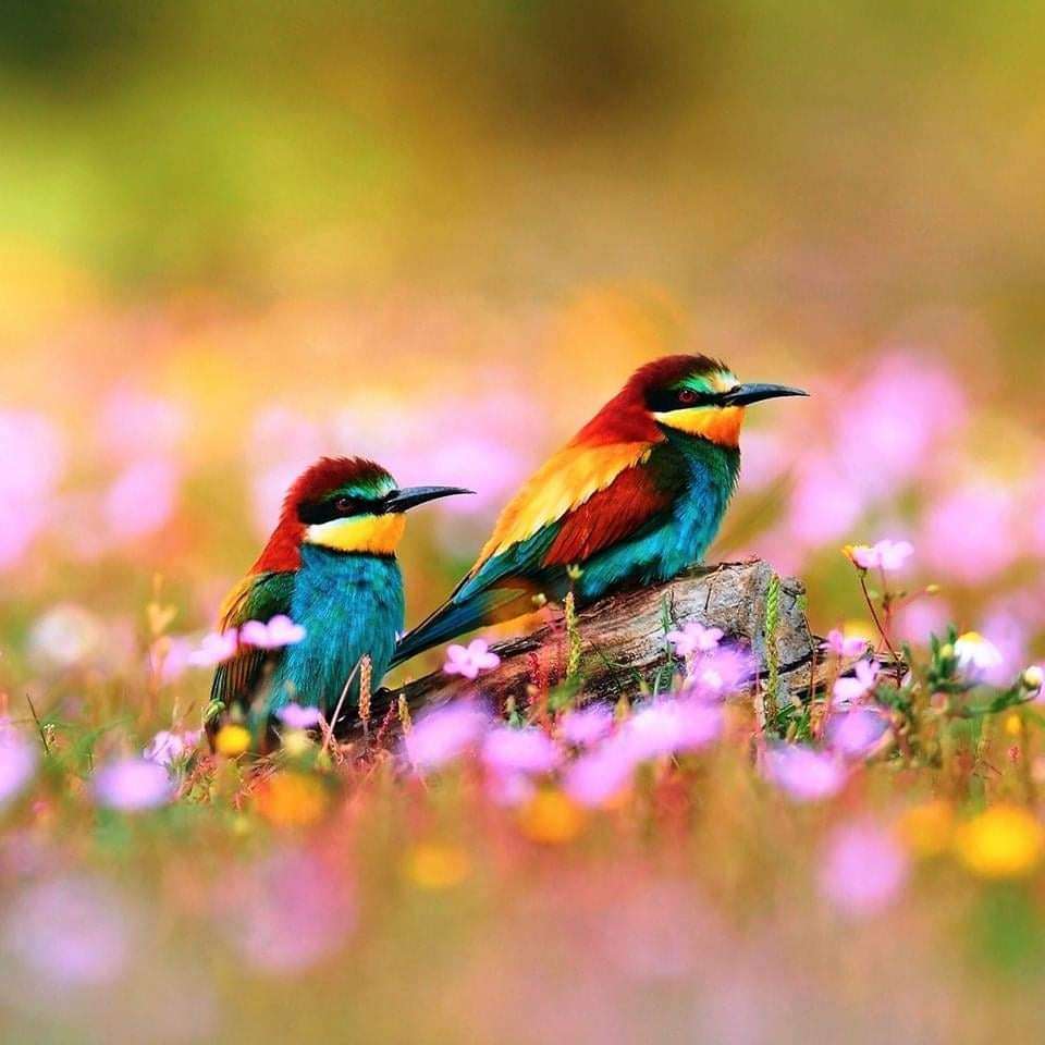 e09d3f2f-d818-41dc-8732-764b26f30df5