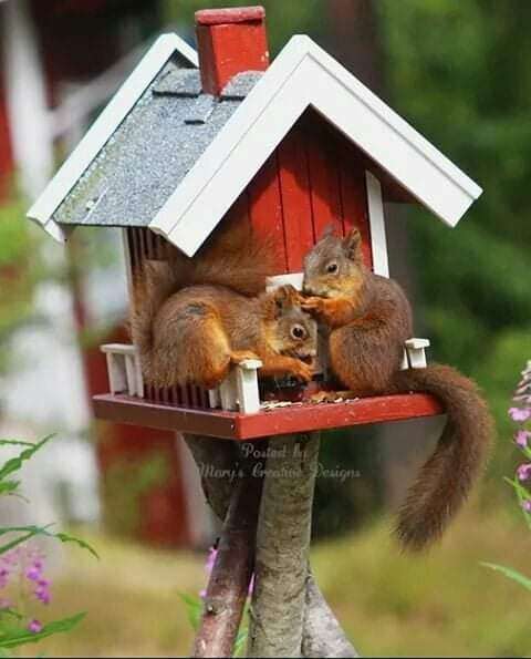 045875e6-70fe-4b5d-a1f9-87b0748b4302