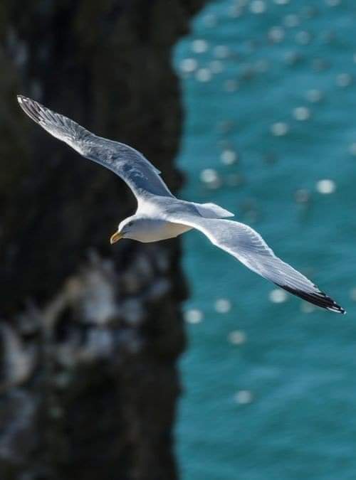 2a8a6169-1380-4eb0-9b3b-e28e41c54613