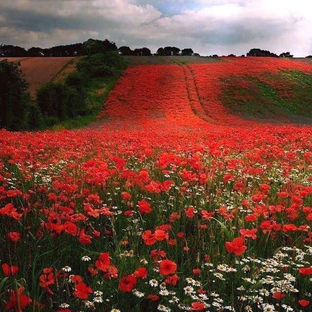 c11135f3-38f3-4d4a-990f-9a099214a473