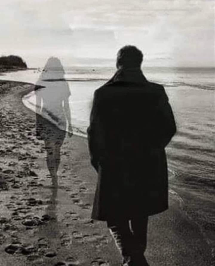 271433208_130720089411533_366703582909311376_n