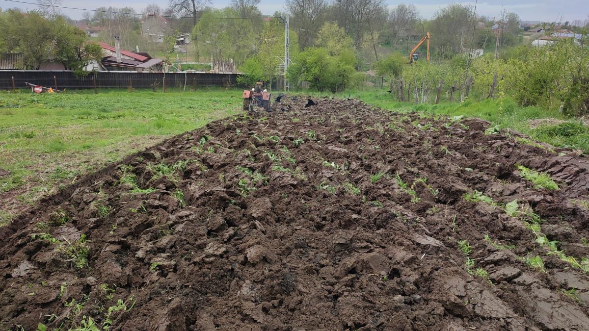 a40821c3-773f-4454-8a6e-edf6895592c2